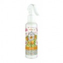 AMBIENTADOR EN SPRAY DE PRADY 220ML