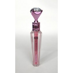 LIP GLOSS FIX 24H PROFESSIONAL LETICIA WELL