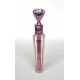 LIP GLOSS FIX 24H PROFESSIONAL LETICIA WELL