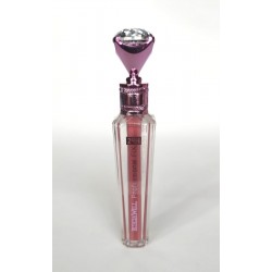 LIP GLOSS FIX 24H PROFESSIONAL LETICIA WELL