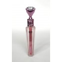 LIP GLOSS FIX 24H PROFESSIONAL LETICIA WELL