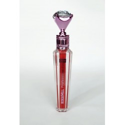 LIP GLOSS FIX 24H PROFESSIONAL LETICIA WELL