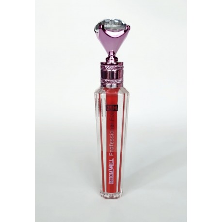 LIP GLOSS FIX 24H PROFESSIONAL LETICIA WELL