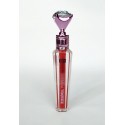 LIP GLOSS FIX 24H PROFESSIONAL LETICIA WELL