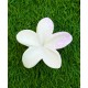 PINZA PARA EL PELO FLOR