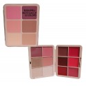 PALETA DE ROSTRO Y LABIOS PALETTE MAKEUP 12 COLORS