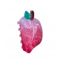 PINZA DE CABELLO FRUTAL